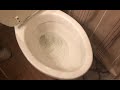 Why your toilet smells like pee - Check the Rim!