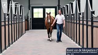 Romi van de Klotputten Z