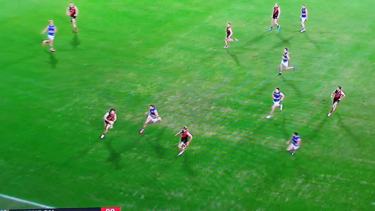 Darcy Parish - no shepherding