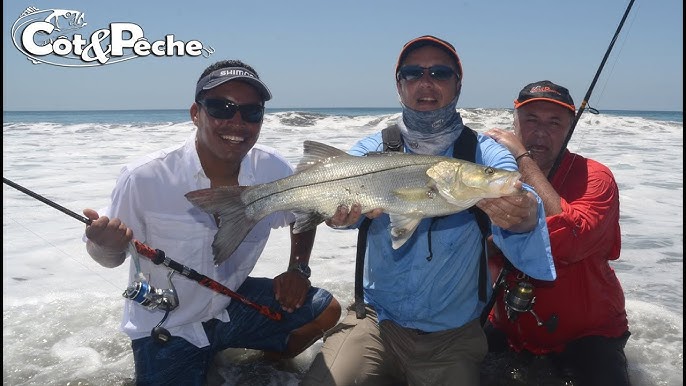 Pêche du poisson-coq au Costa Rica : le paradis du pêcheur