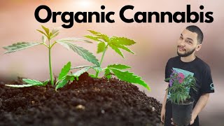 Organic Cannabis: The Vast World of Regenerative Farming