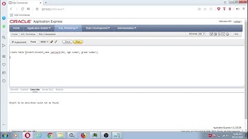Oracle SQL DDL(Data Definition Language) statements