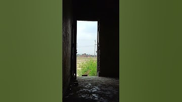 zooming video 😮 #trending #shorts #viralvideo #subscribe #youtube #zoom #trendingshorts 😮😮😮😮