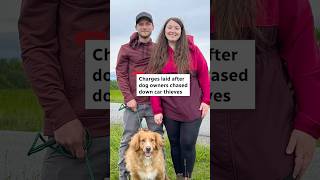 Charges laid after dog owners chased car thieves #shorts