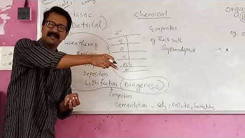 SEDIMENTARY ROCKS CLASSIFICATION PART 16 PLUSTWO Geology chapter 1 world of rocks