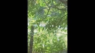 Download Lagu Ftner4ik - Night(speed up) MP3