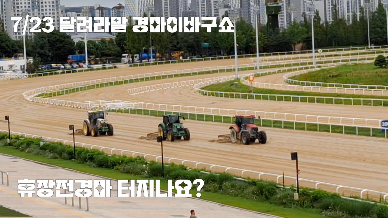 이번주는 월말경마겸 휴장전경마 (8월경마는 야간경마)