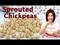 How to Sprout Chickpeas / Garbanzo beans - Superfood Ready to Eat in 3 Days  如何发鹰嘴豆芽