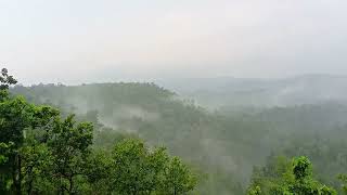 Tiger Point Balco Koraba