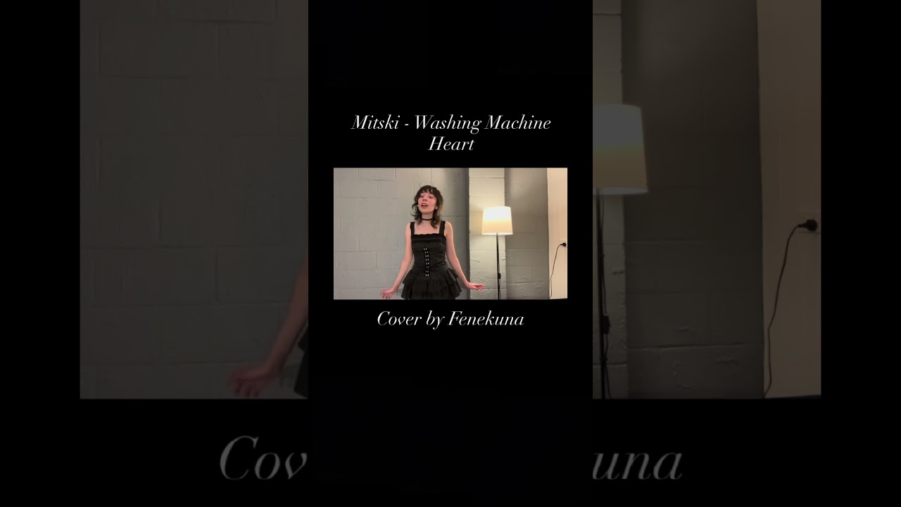 Mitski - Washing Machine Heart | Cover by Fenekuna