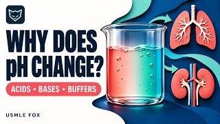 Acids, Bases, pH & Buffers From Zero | USMLE Step 1