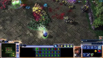 StarCraft II Zealot Frenzy