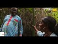 A LA DECOUVERTE DU JARDIN BOTANIQUE (ALDJB) Ep 2 : LE BAMBUSA VULGARIS