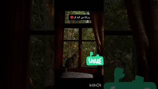 message for you 🌺 Stay With Allah and Do Not Worry Follow me please 🌿