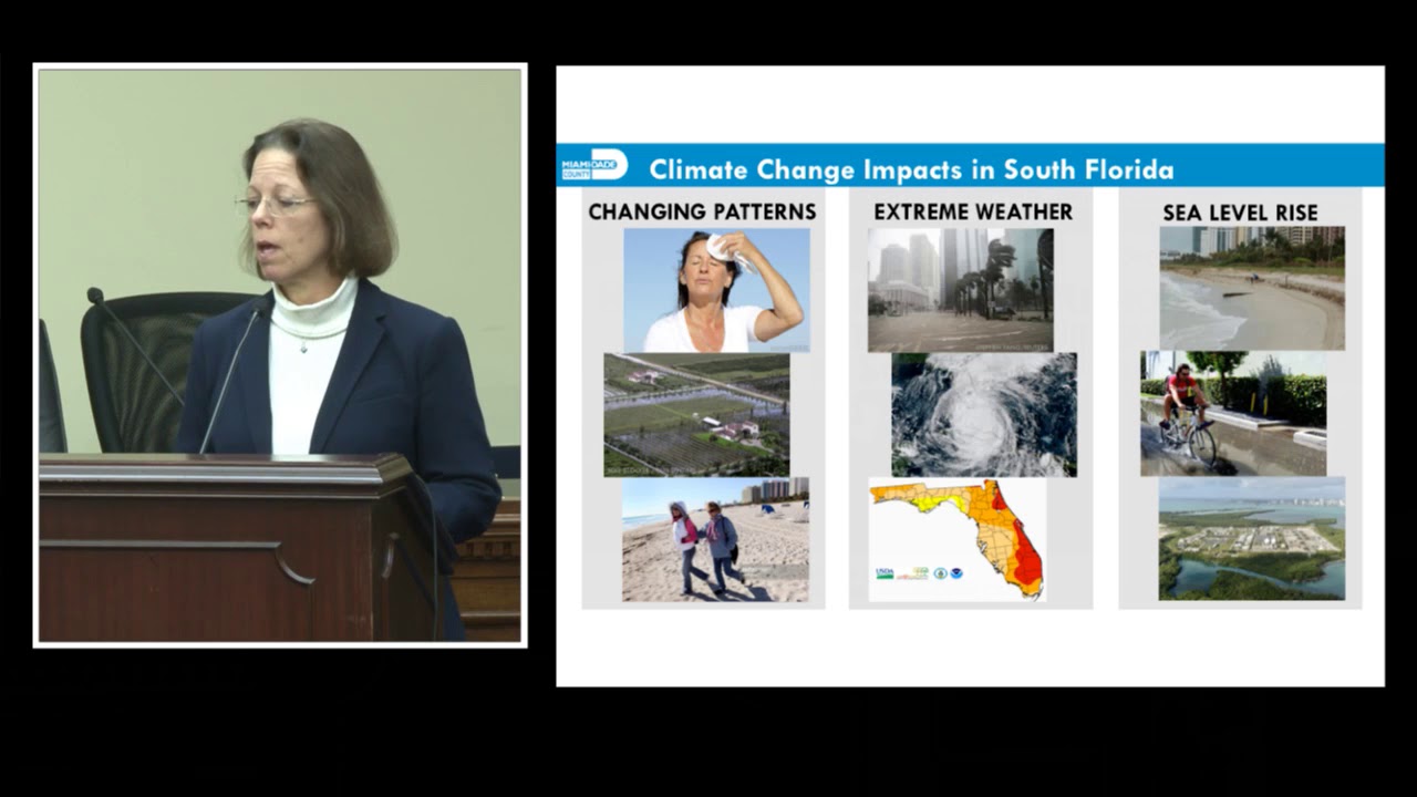 Climate change and the coast : building resilient communities