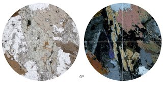 Virtual Microscope: Βιοτίτης, Κεροστίλβη / Hornblende, Biotite