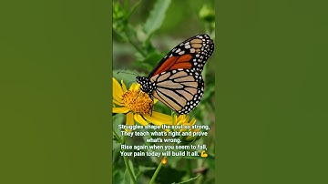 motivation video#inspiration video #trending shorts