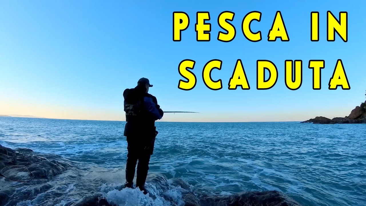 PESCA IN SCADUTA: l’orsetto fa la DIFFERENZA! 🎣