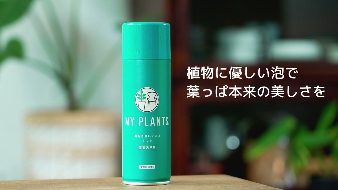 tef*tef*スタッフ愛用品 『MY PLANTS 葉をきれいにするミスト』 観葉