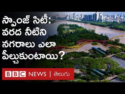 China: స్పాంజ్ సిటీలు అంటే ఏమిటి? వరద నీటిని ఈ నగరాలు ఎలా పీల్చేసుకుంటాయి? | BBC Telugu