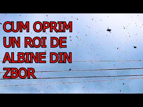 Video: Echilibrul consumului de apă și canalizare este un calcul necesar în proiectarea oricăror instalații și în utilizarea apei