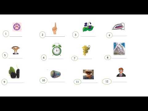 მოისმინე და დაწერე