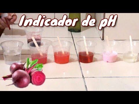 Video: ¿Cómo se hace un indicador de remolacha?