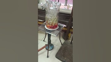 Exp Construction of standard curve of Maltose #trending #shortvideo #new #viral #youtubeshorts #fun