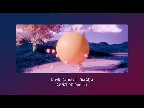 David Dreshaj - Ta Dija (Just RB Remix) [Official Visualiser]