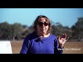 Stories from the River Murray - Chowilla Floodplain