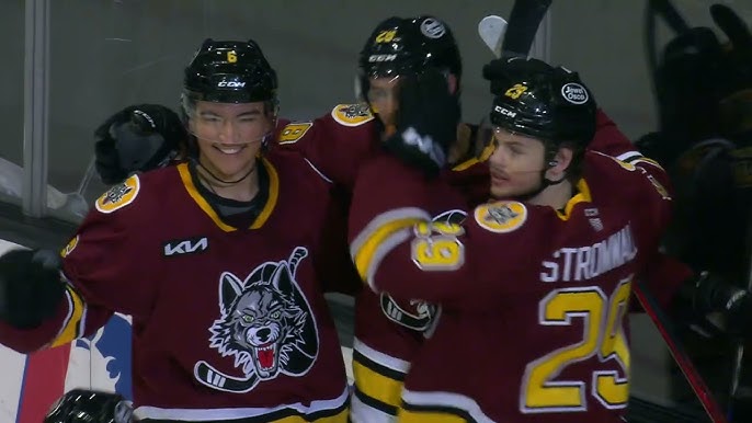 AHL Chicago Wolves sweep weekend series against Milwaukee Admirals - Canes  Country