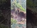 ツタを機械で引き剥がす:建物再生の力業