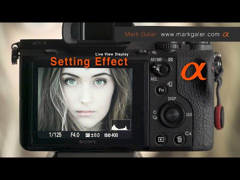 Live View Display: Setting Effect