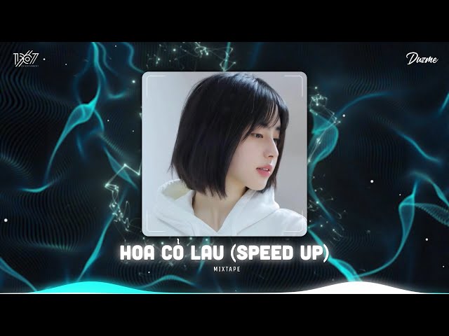Giữa Mênh Mang Đồi Hoa Cỏ Lau...Hoa Cỏ Lau (Speed Up) - Nhạc Hot Trend Tik  Tok - Youtube