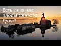 Есть ли в нас плоды Святого Духа?..