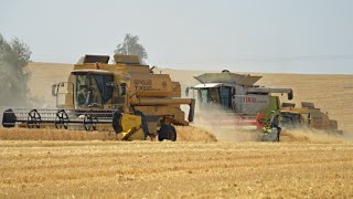 Harvest 2015/Claas Lexion 600TT,580 and 3x New Holland Tx68/Fendt 936