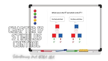 Chapter 17 Stimulus Control!!