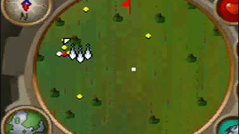 [RS] Detailed 1 - 99 Hunter Guide. Old school 2007 Runescape.