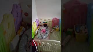 20190504 小子紜自己玩起來了 (10m)