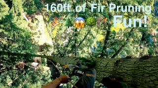 160ft OF FIR PRUNING FUN!!! Treeson and Caleb Race up the trees! by Guilty of Treeson @ Eastside Tree Works 110,214 views 2 years ago 35 minutes