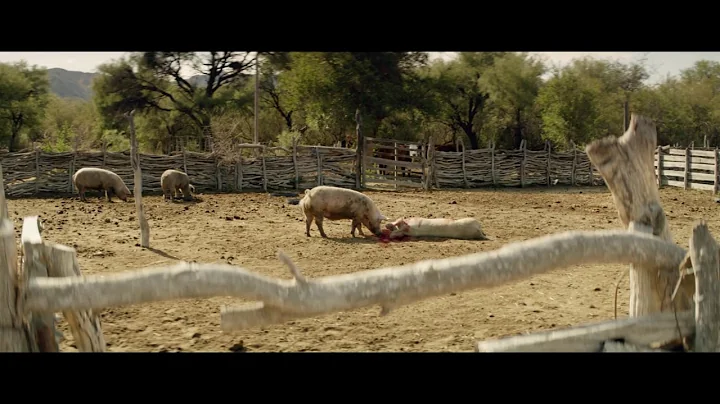 Vigilia (Julia Ledesma, 2017)