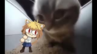 Chipi Chipi Chapa Chapa (Neco Arc AI Cover)