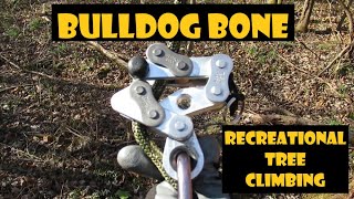 Bulldog Bone_Recreational Tree climbing