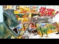 【大量買】約７万円！恐竜フィギュアや恐竜おもちゃを一気に紹介