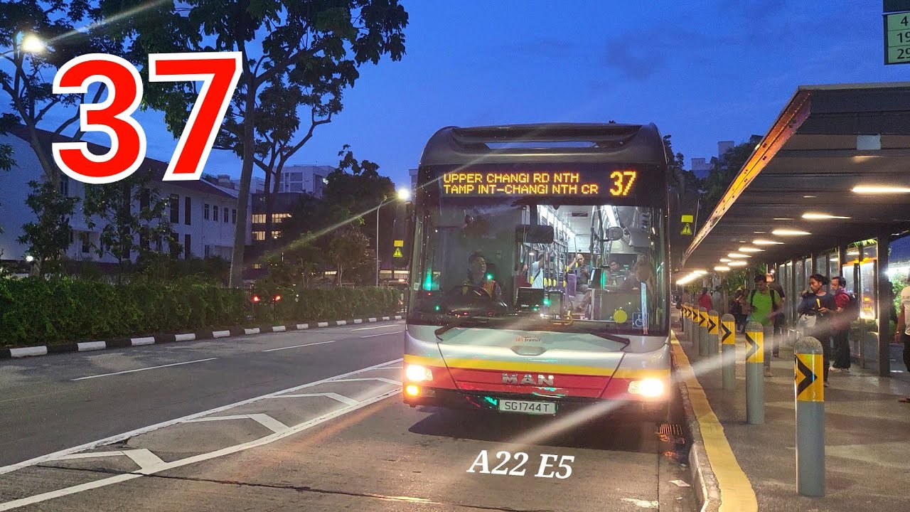 SG1744T - SBS Bus Service 37 [MAN NL323F (Euro V) (Batch 3)] - YouTube