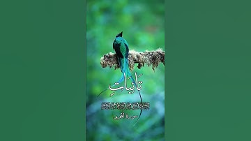 التلاوة التي يبحث عنها الجميع #اكسبلور #بحر #لايك #القارء #duet #تيكتوك #دويتو #تلاوه #حالات_واتس