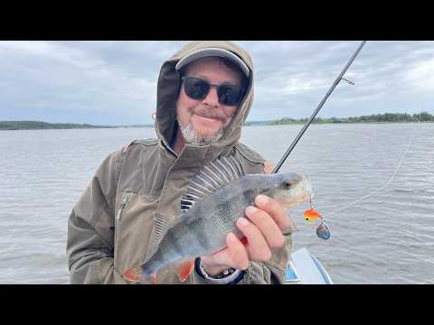 For asp and perch. Fishing in Raznezhye.