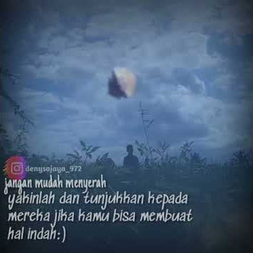story Wa 30detik: pelayang banyuwangi
