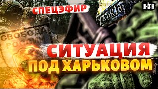 Спецэфир! ХАРЬКОВ: Z-орду ОСТАНОВИЛИ! ВСУ дали Армии РФ по зубам / Локи. Легион Свобода России