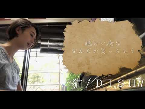 猫／ＤＩＳＨ// （short ver.)【covered by MIKIHO from acceptall】